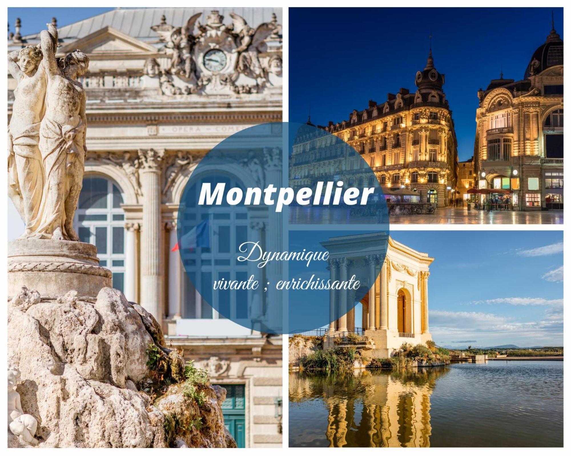 Апартаменты Le Marineland Clim Parking Prive Proche Centre Casino Et Palais Des Congres Ла-Гранд-Мот Экстерьер фото